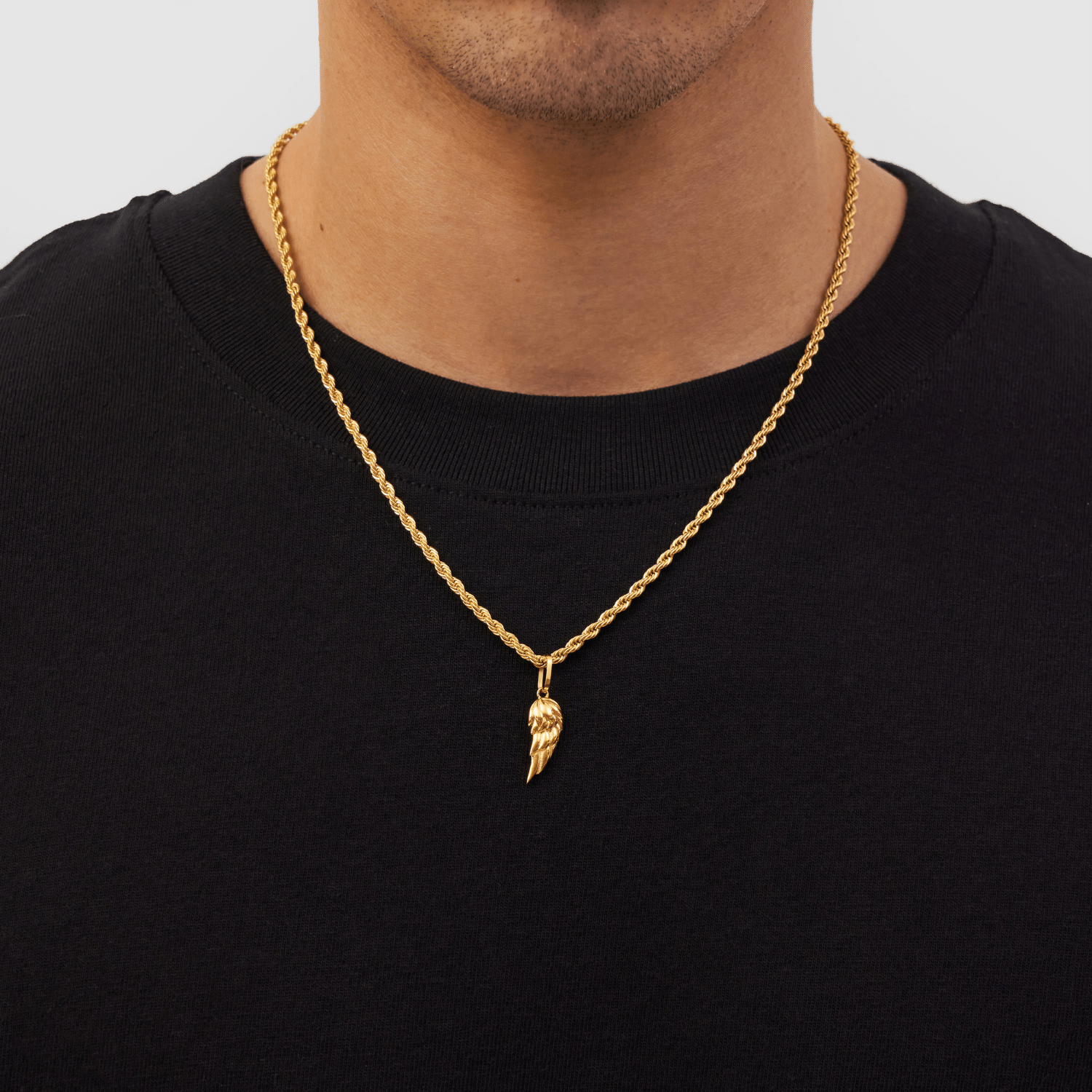 Aureus (Gold)